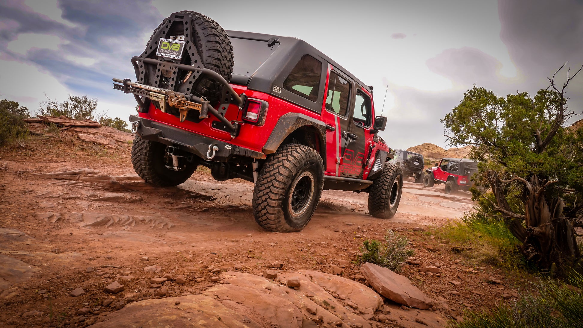 2018-22 Jeep JL Cage Style Tire Carrier